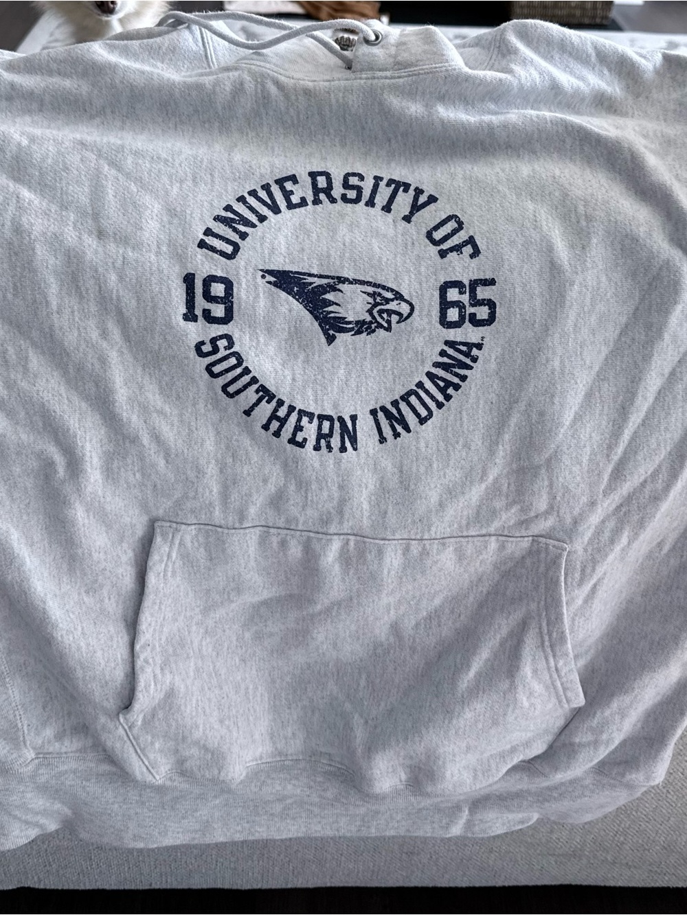 University of Southern Indiana Gray Pullover Hoodie Sweatshirt
